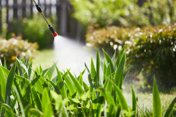 24/7 Emergency Fumigation Services experts in Washington, IN