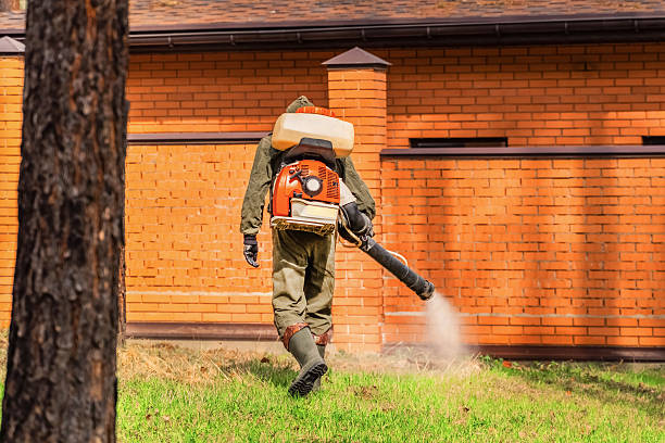 Trusted Bed Bug Control service in Washington, IN - Nex Pest Control